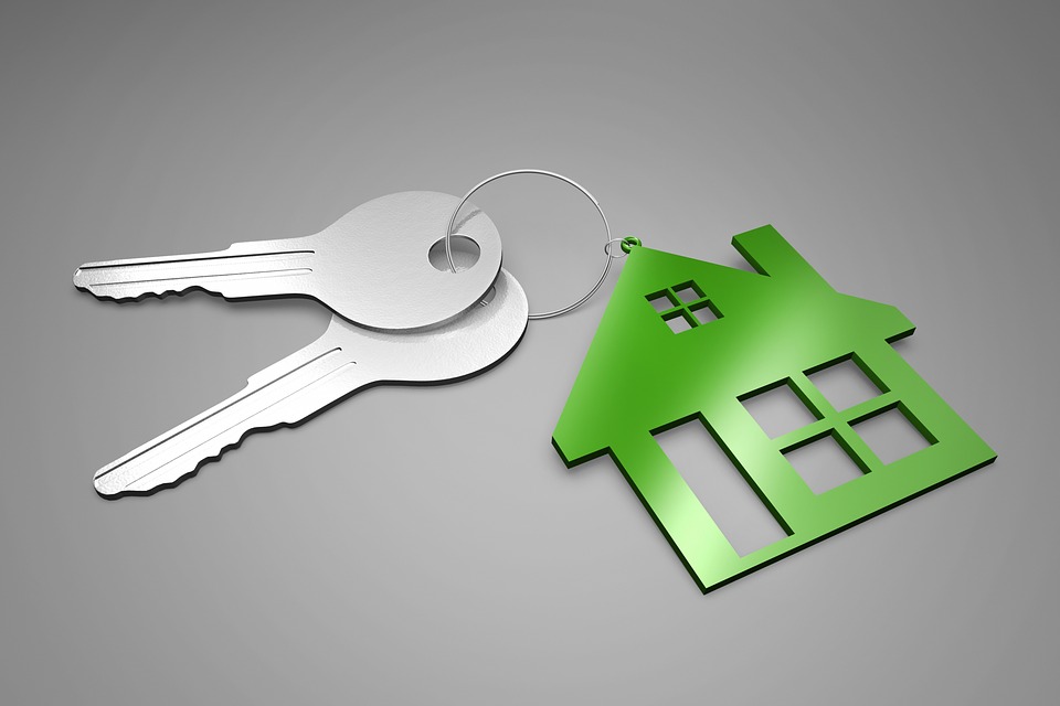 Discover Key Characteristics of Real Estate Websites- vizzwebsolutions