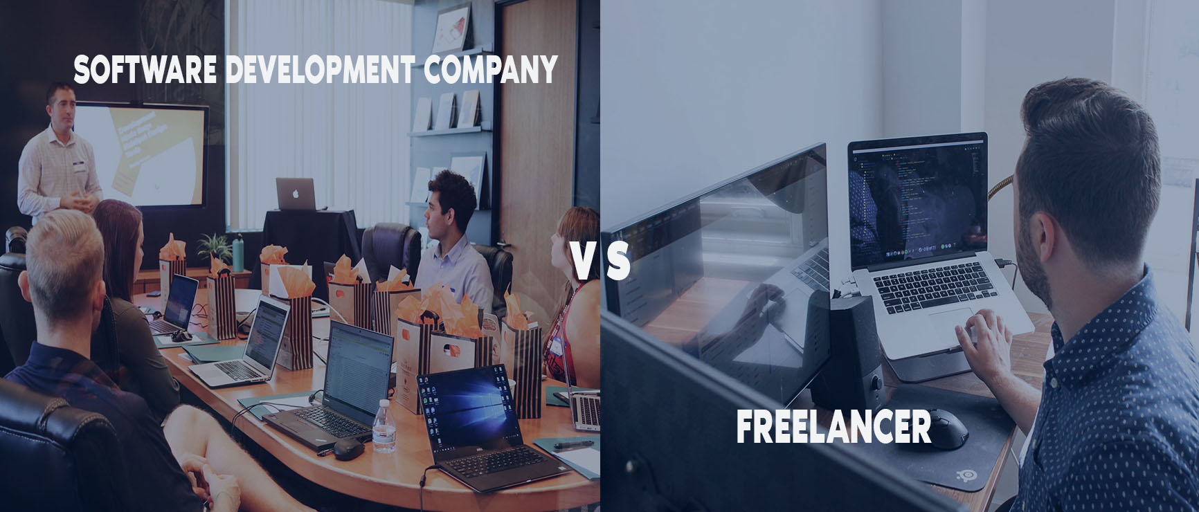 Software Development Company or Freelancer. Which One to Pick?- vizzwebsolutions