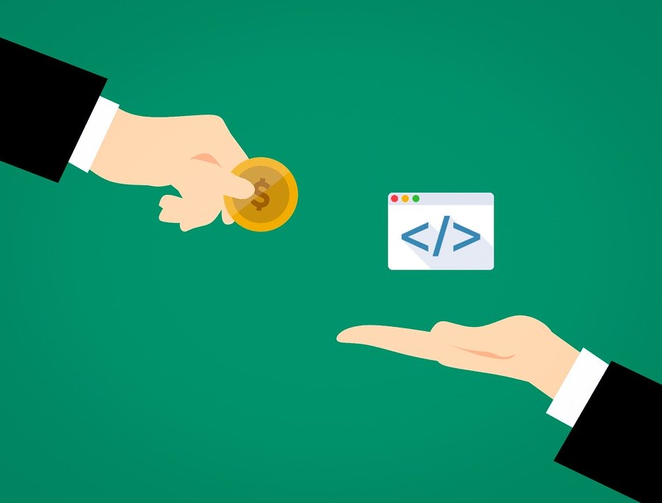 Things you need to know before hiring software developer- vizzwebsolutions