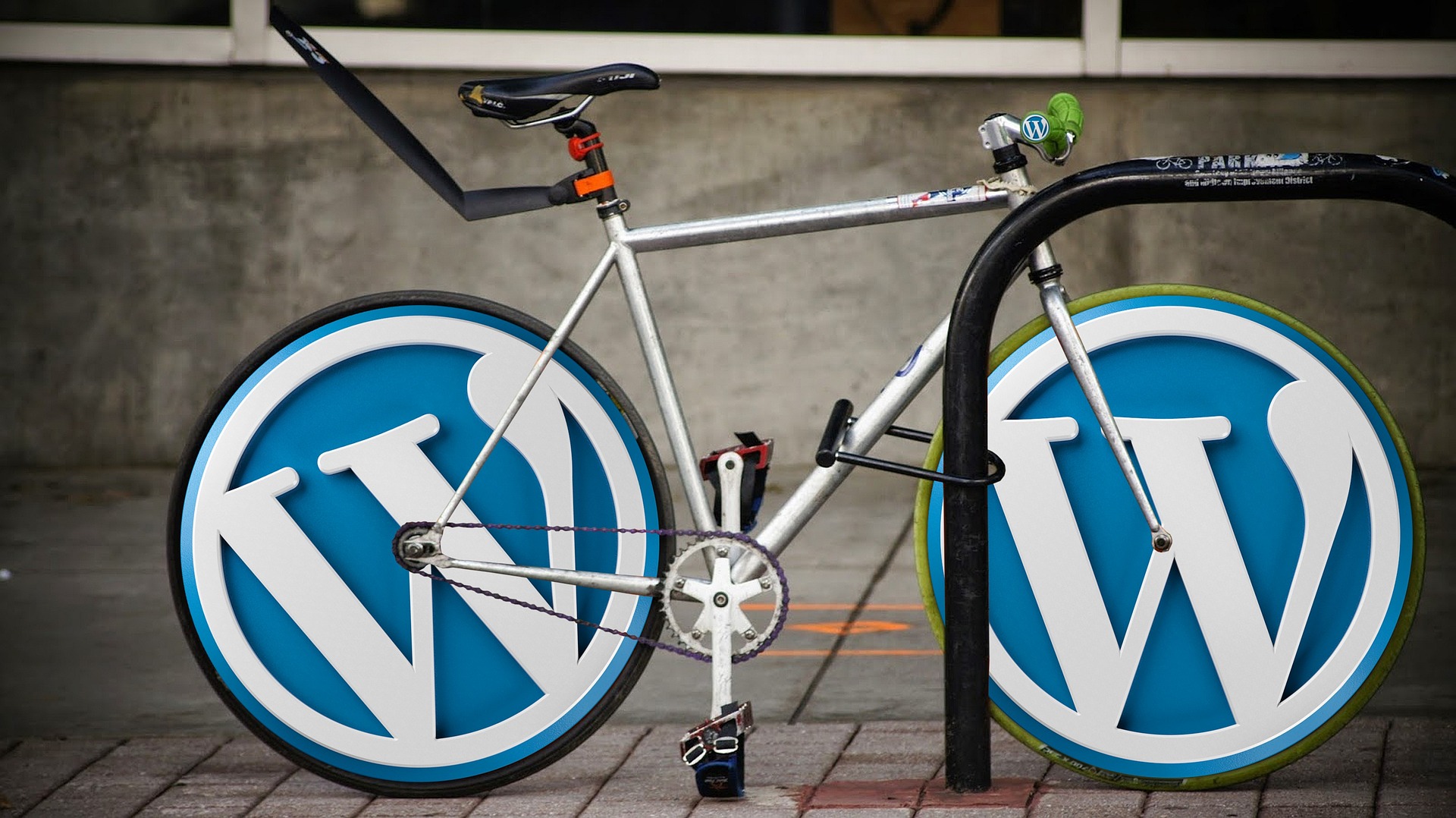 Hire A WordPress Developer – An Ultimate and Easy Guide - vizzwebsolutions