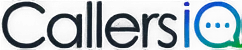 callersiq-vizzwebsolutions