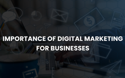 Why digital marketing is important for business growth in 2025?