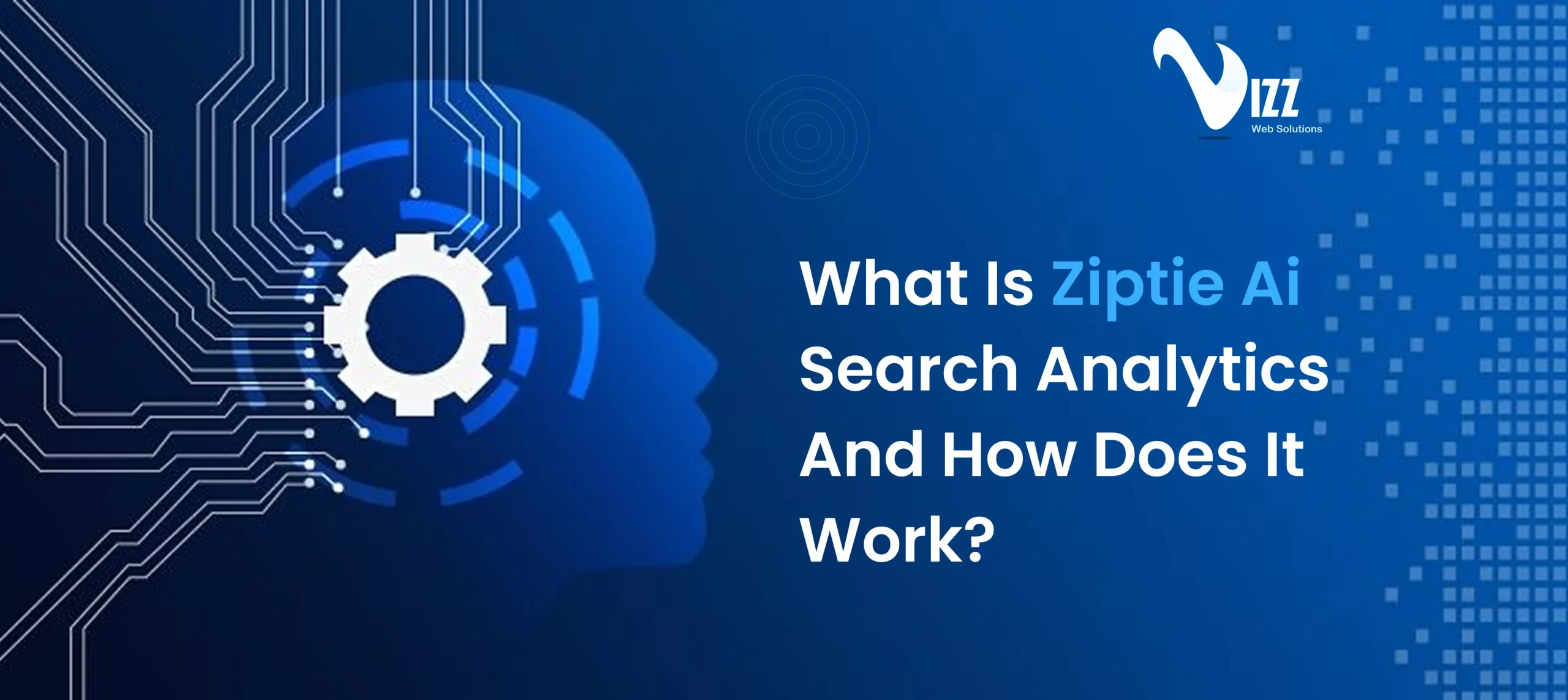 What is Ziptie AI Search Analytics and How Does it Work?- vizzwebsolutions